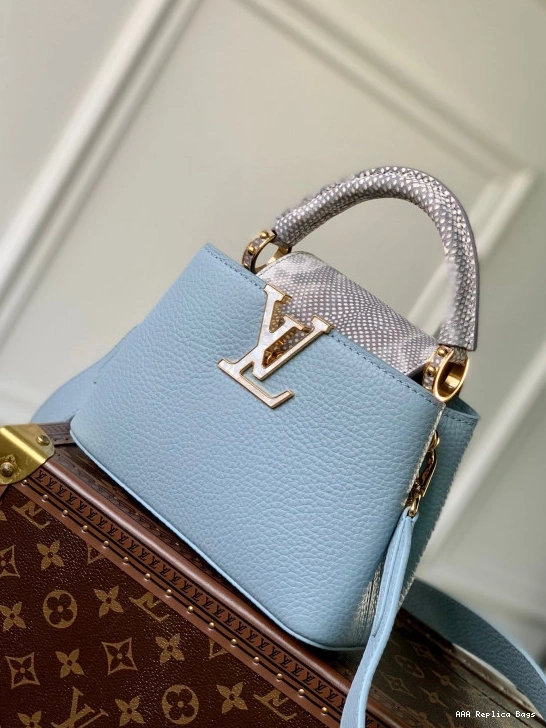 Aaa replica ru CAPUCINES LOUIS VUITTON MINI 0716
